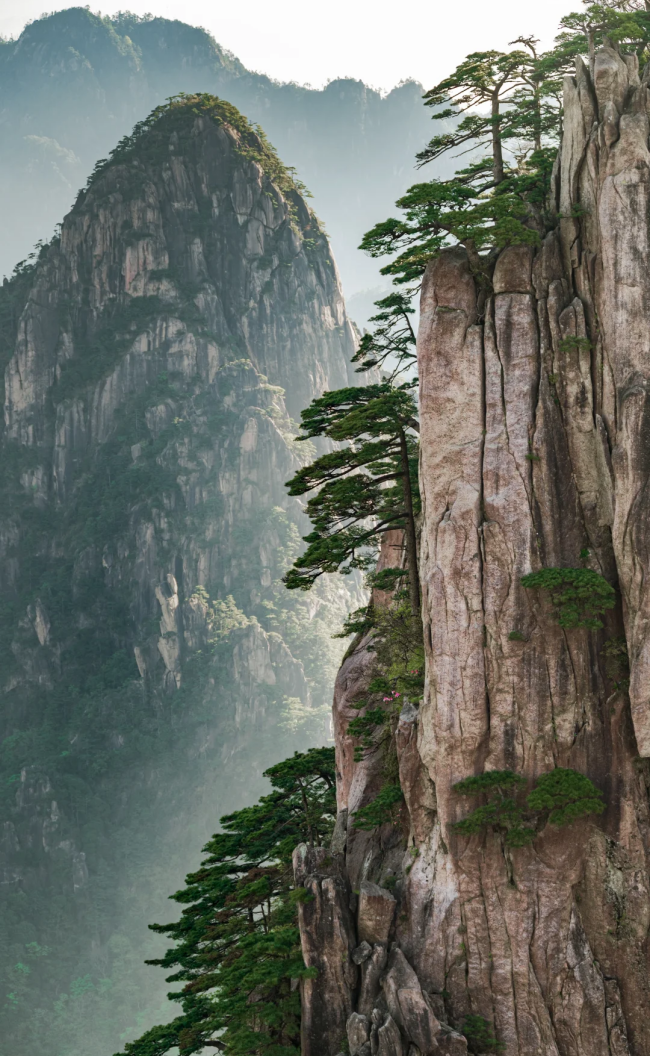 微信图片_2026-05-09_144156_295.png