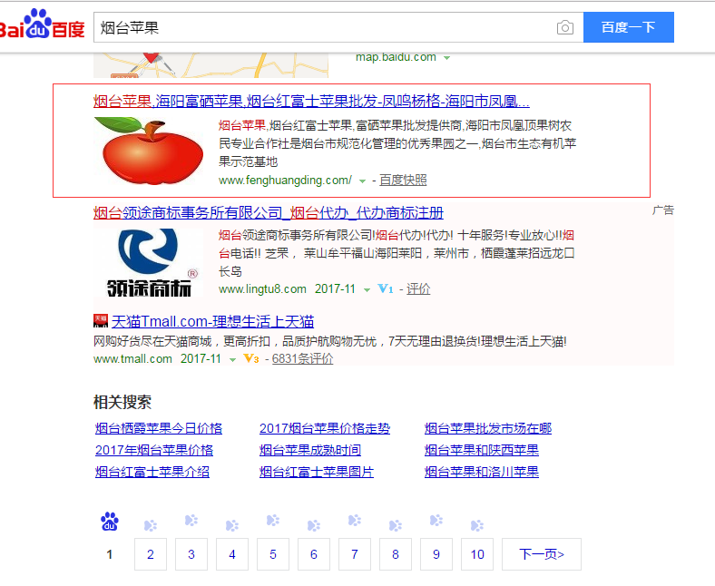 网站优化